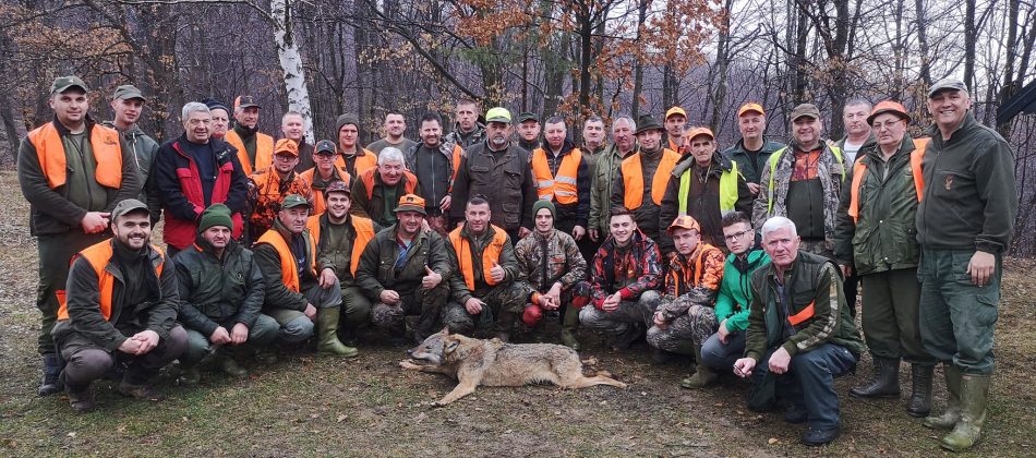 Lov na vuka “Kralupi 2022”